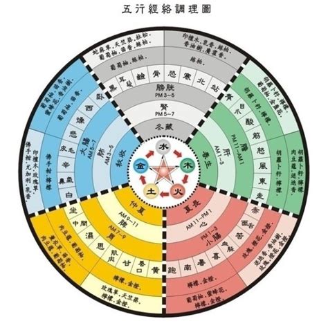 道家算命|五术（仙、医、命、卜、相的合称）